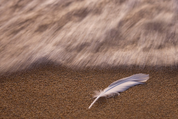 Little Wing