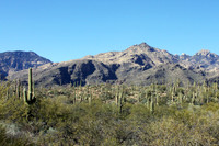 Tucson