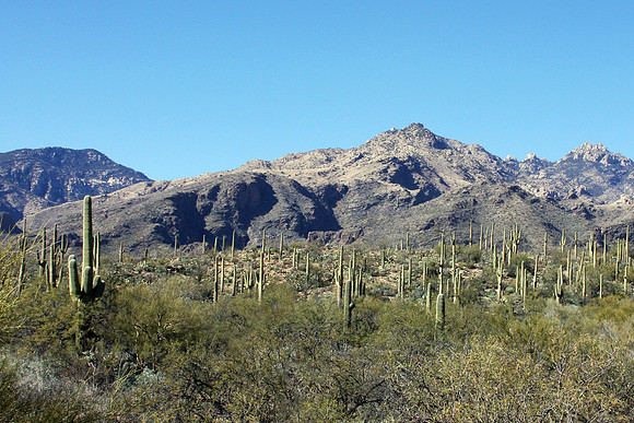 Tucson