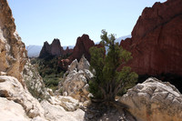Garden of the Gods