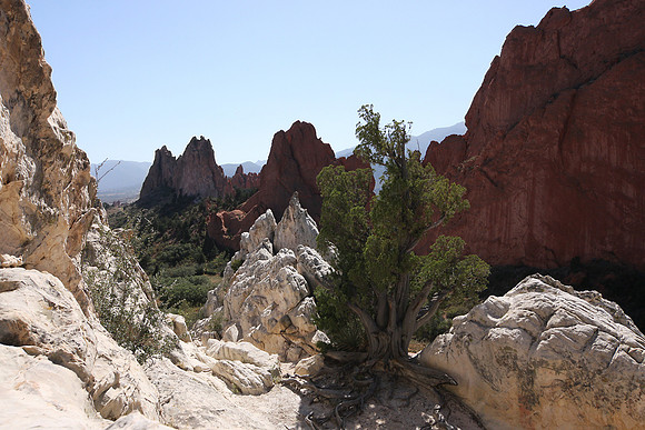 Garden of the Gods