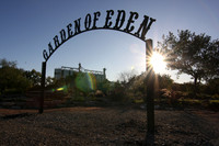 Garden of Eden