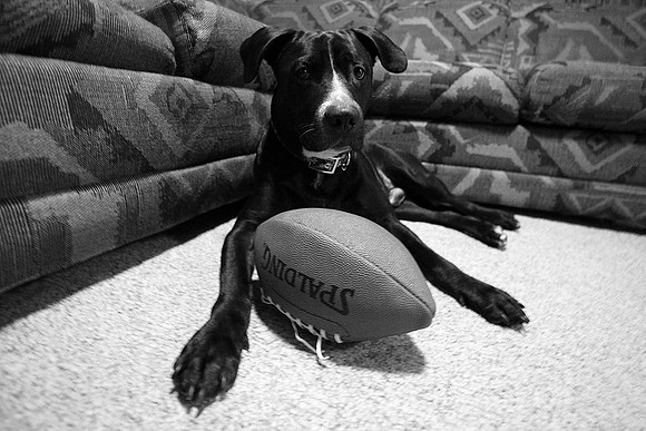 Bubba