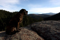 Mastiff Mountain