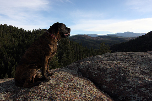 Mastiff Mountain